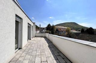 Büro zu mieten in 2410 Hainburg an der Donau, Herrliches Dachgeschoss mit Terrasse und herrlichen Ausblick! Unbefristete Mietordination mit Kundenparkplätzen und freie planbare Raumgestaltung!