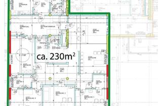 Büro zu mieten in Hopfengartenstraße 21, 3580 Horn, Erstbezug 230m2 Ordination oder Büro im Gesundheitsplatz Horn