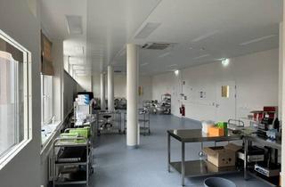 Büro zu mieten in Sankt Jakober Straße, 9020 Klagenfurt, Exklusiv und topmodern - Laborfläche in Klagenfurt für Ihre Forschungs- und Innovationsprojekte!