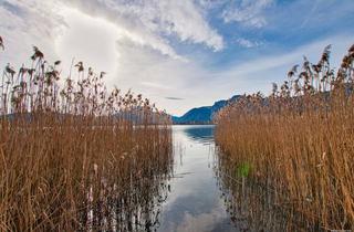 Grundstück zu kaufen in 5310 Mondsee, Die nächsten Sommer am Mondsee genießen - Ideeller Badeplatzanteil zu verkaufen!