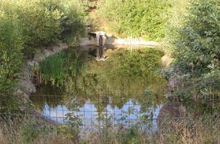 Grundstück zu kaufen in 3863 Reingers, *****3 kleine Fischteiche im Waldviertel*****