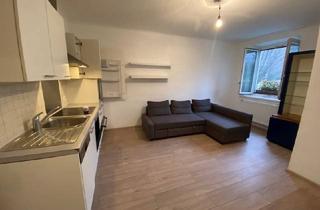 Wohnung mieten in Kreindlgasse, 1190 Wien, *****kleine Mietwohnung in super Lage*****