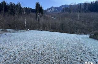 Grundstück zu kaufen in Viktor-Scheffel-Straße, 6845 Hohenems, Tolles Grundstück in ruhiger Lage