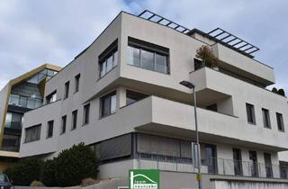 Wohnung mieten in 7000 Eisenstadt, Schlossbezirk in Eisenstadt, moderne Terrassenwohnung mit 139m² - Wohnkomfort pur! - JETZT ZUSCHLAGEN