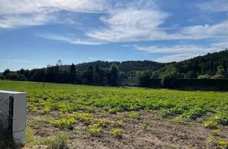 Grundstück zu kaufen in 8200 Gleisdorf, Baugrundstück mit Grünlandanteil für Projektentwickler