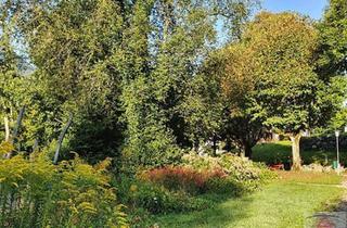 Grundstück zu kaufen in 4615 Holzhausen, Für Ruhesuchende - Fischteich mit Gartenhütte in idyllischer Lage zu verpachten