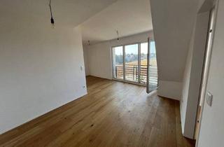 Loft mieten in 1220 Wien, Loft - großer Wohnbereich + 1 SZ - in Grünruhelage