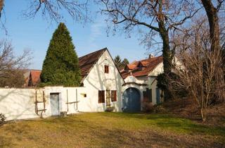 Haus kaufen in 3550 Langenlois, HIER LÄSST SICH`S LEBEN ! - EHEMALIGE MÜHLE IN LANGENLOIS