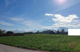 Grundstück zu kaufen in 4694 Ruhsam, Großes, sonniges Grundstück mit Traunsteinblick