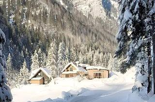 Haus kaufen in 4824 Gosau, Sonnengeküsstes Waldhaus in Gosau – Rückzugsort in traumhafter Natur