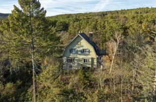 Villen zu kaufen in Blumentalgasse, 2721 Bad Fischau, Einzigartige Jahrhundertwende-Villa mit Privatpark und Wald | Blick in alle Himmelsrichtungen | Lichtdurchflutet