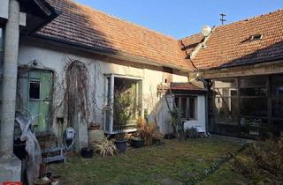 Bauernhäuser zu kaufen in 3423 Sankt Andrä vor dem Hagenthale, Charmantes Bauernhaus in St. Andrä vor dem Hagenthale: Ihr Traum vom Renovieren mit Garten im Innenhof