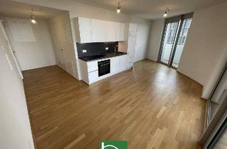 Wohnung mieten in 1100 Wien, ** PROVISIONSFREI** Hochwertiger Neubau mit Balkon und Loggia!