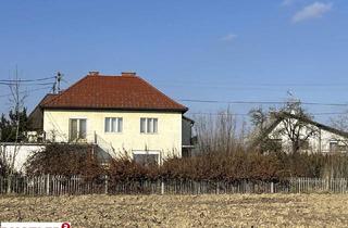 Mehrfamilienhaus kaufen in 4062 Thening, Großes Grundstück mit Altbestand zu verkaufen