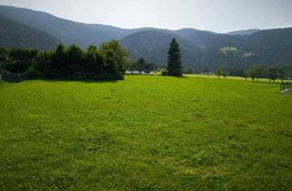 Grundstück zu kaufen in 9542 Afritz am See, Drei sonnige Baugrundstücke in 1A-Lage zum kleinen Preis in Afritz am See – ideal für den Bau eines Bungalows oder Tiny Houses