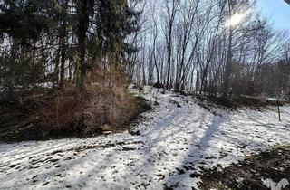 Wohnung kaufen in 8043 Graz, Sanierte 2-Zimmer-Wohnung direkt am Leechwald und Nähe LKH