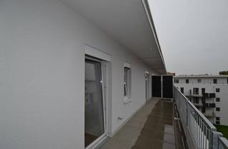 Penthouse mieten in Niesenbergergasse 45, 8020 Graz, Annenviertel - 2 Zimmer 44 qm² - PENTHOUSEWOHNUNG - große Terrasse - ab 01.04.25