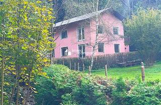 Einfamilienhaus kaufen in 2842 Edlitz, Wohnen am Waldrand mit eigenem Bächlein - Natur pur