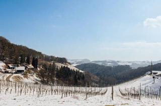 Immobilie kaufen in Kranachberg, 8462 Gamlitz, Eine Rarität im südsteirischen Weinparadies: Über 5ha Grund, 5 Häuser und viele Ideen!