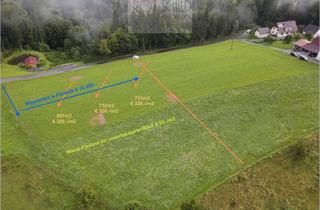 Grundstück zu kaufen in 8503 Sankt Josef (Weststeiermark), Wunderschöner Bauplatz - Nähe Sankt Josef in der Weststeiermark. Unverbaubare grüne ruhige Lage.