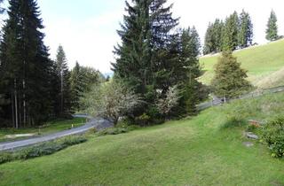 Haus kaufen in Rieding, 9400 Wolfsberg, Ferienhütte auf der Koralpe zu verkaufen!