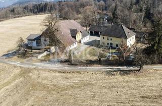 Bauernhäuser zu kaufen in 9064 Magdalensberg, Idyllischer Bauernhof mit großem Potenzial - Nähe Koralmbahn!