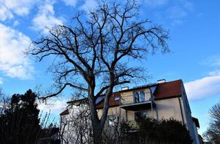 Wohnung mieten in 2700 Wiener Neustadt, Schöne 3-Zimmer Wohnung im Dachgeschoss