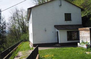 Einfamilienhaus kaufen in 4407 Dietach, EINFAMILIENHAUS MIT GROßZÜGIGEM GRUNDSTÜCK UND AUSBLICK