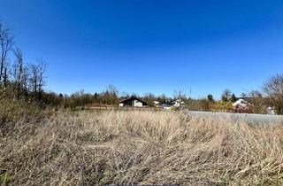 Grundstück zu kaufen in Kirchfeldstraße, 4600 Thalheim bei Wels, Stadtnahe Ruheoase - Baugrundstück in Thalheim bei Wels