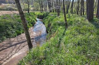  in 8082 Kirchbach in Steiermark, Kleingärten pachten am Wasser