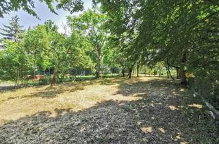  in 2103 Langenzersdorf, 522m² Garten (kein Baugrund) mitten in Langenzersdorf