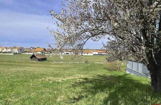 Grundstück zu kaufen in 3500 Egelsee, Ihr Platz zum Leben - Baugrund in ländlicher Ruhe vereint mit urbaner Nähe