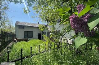 Villen zu kaufen in 7100 Neusiedl am See, Wohnhaus mit großem Grund im Herzen von Neusiedl a.S.